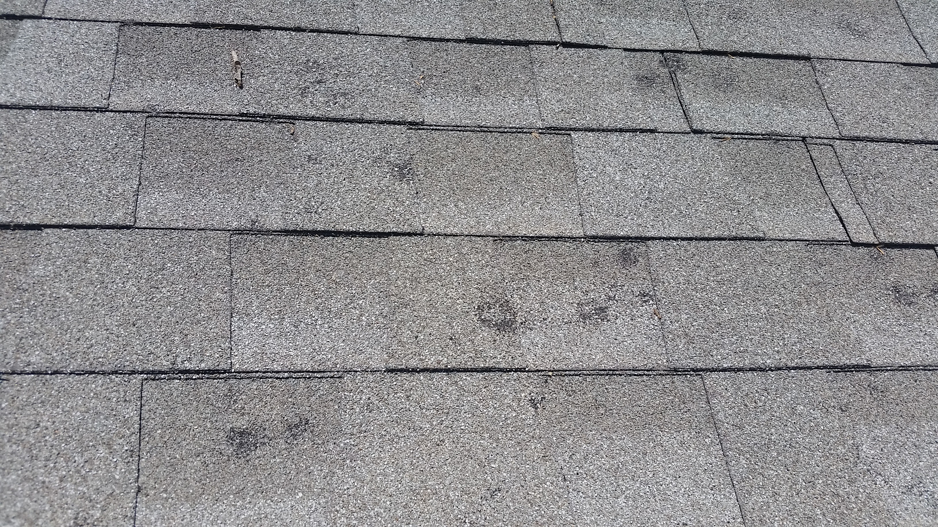 Hail damaged shingles with impact marks documented for insurance claim