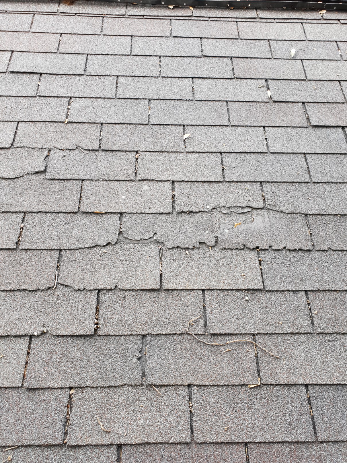 Cracked and peeling asphalt shingles from age and storm wear — Stephenville TX roof inspection