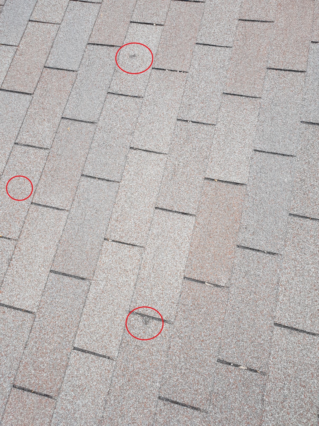 Hail impact marks circled on asphalt shingles during Heritage Roofing inspection